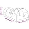 Greenhouse 193.8 ft² 236.2"x118.1"x78.7"