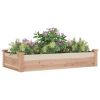 Garden Raised Bed with Liner 47.2"x23.6"x9.8" Solid Wood Fir
